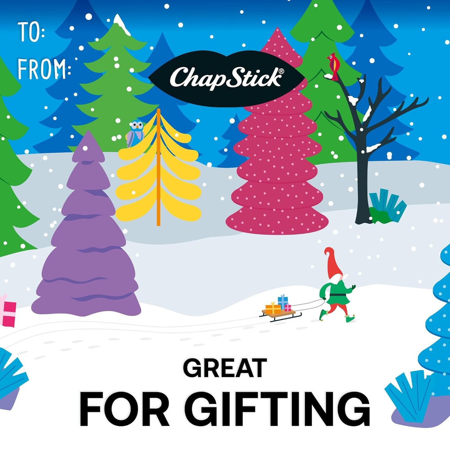 ChapStick Lip BalmVariety Holiday Gift Set, Stocking Stuffers, Christmas Gift 5 Count